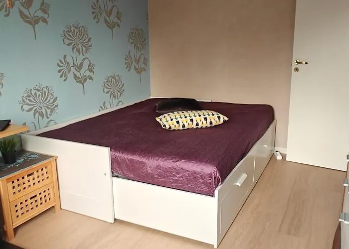 Lapland Traveller * Rovaniemi